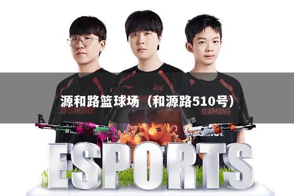 源和路篮球场（和源路510号）