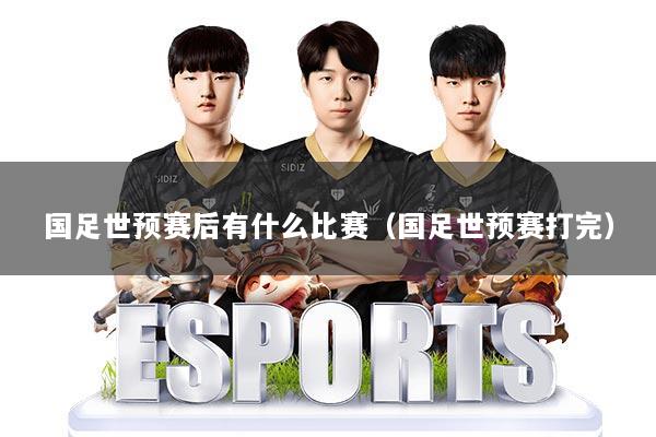 国足世预赛后有什么比赛（国足世预赛打完）