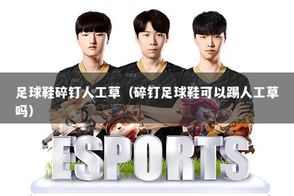 足球鞋碎钉人工草(碎钉足球鞋可以踢人工草吗)