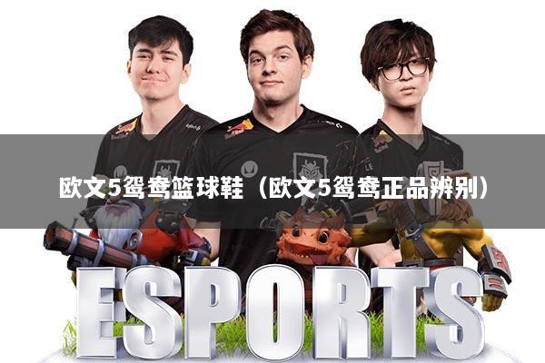 欧文5鸳鸯篮球鞋（欧文5鸳鸯正品辨别）