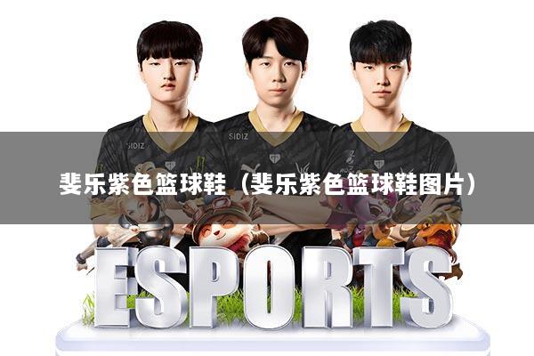 斐乐紫色篮球鞋(斐乐紫色篮球鞋图片)