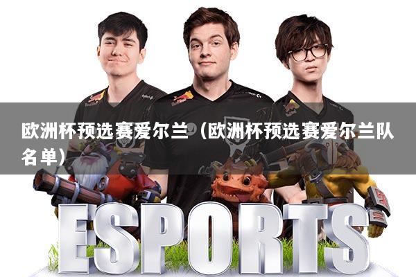 欧洲杯预选赛爱尔兰（欧洲杯预选赛爱尔兰队名单）