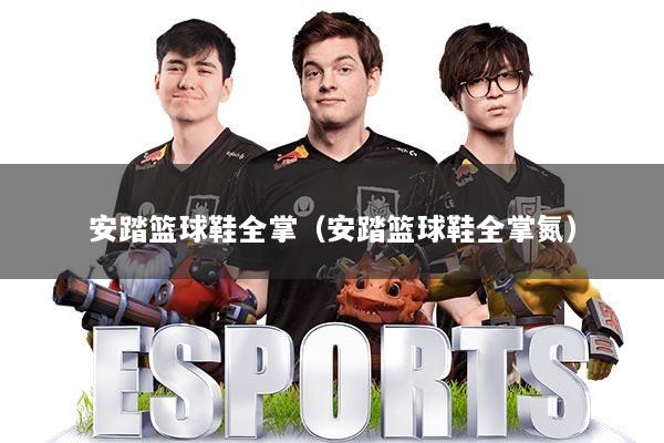 安踏篮球鞋全掌（安踏篮球鞋全掌氮）