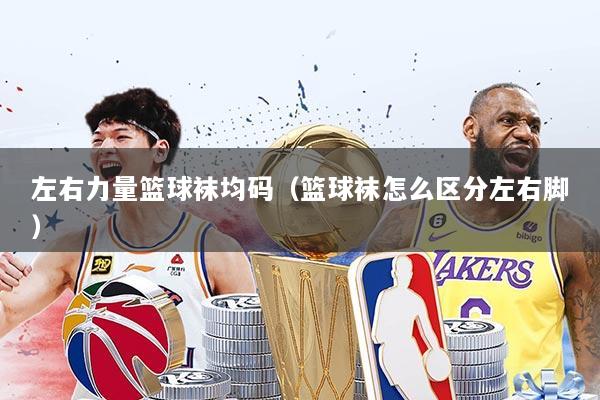 左右力量篮球袜均码（篮球袜怎么区分左右脚）