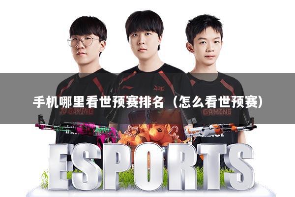 手机哪里看世预赛排名(怎么看世预赛)