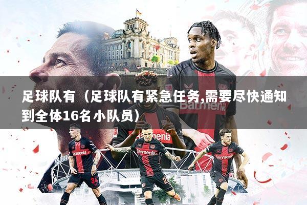 足球队有（足球队有紧急任务,需要尽快通知到全体16名小队员）