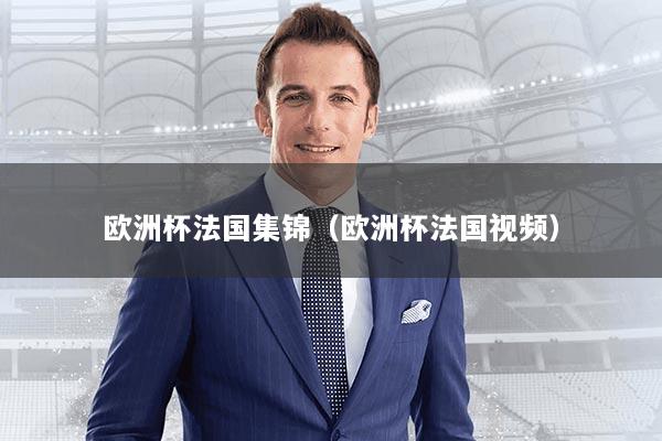 欧洲杯法国集锦（欧洲杯法国视频）
